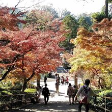 総門から振り返ると、紅葉や、新緑の時期は美しいです