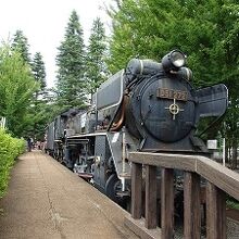 世田谷公園展示されているD５１