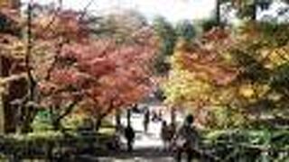 思ったより小さい！