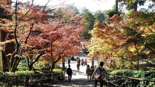 広い境内ですが「三門」と「仏殿」だけでも見応えがあります