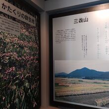 記念館の展示物