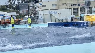 越前松島の水族館