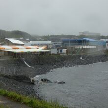 波打ち際の越前松島水族館