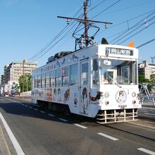 人気のたま電車