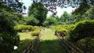 花見も楽しめそうな木々豊かな公園