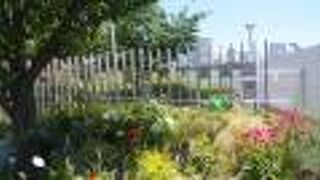 オリパラ開催に伴い、利用中止中