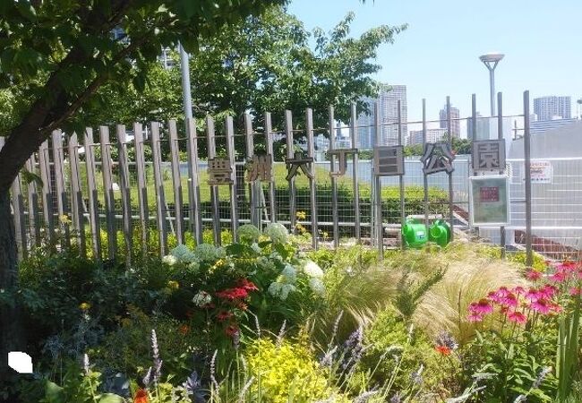 豊洲六丁目公園 クチコミ アクセス 営業時間 豊洲 フォートラベル 豊洲六丁目公園 クチコミ アクセス 営業時間 豊洲 フォートラベル