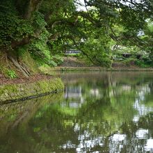 金沢城の大手堀の様子