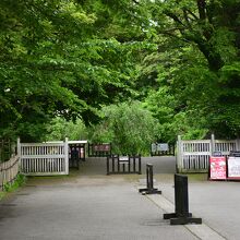 金沢城の黒門の様子