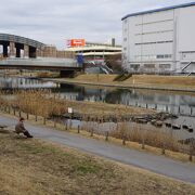 おすすめポイントは亀戸中央公園からの眺め