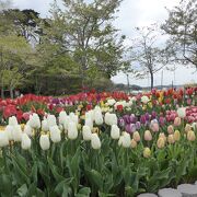 県立自然公園「福浦島」