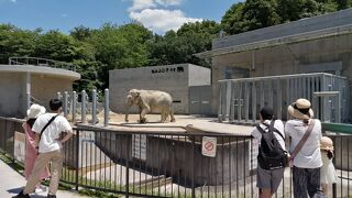 動物ふれあい広場も要チェック