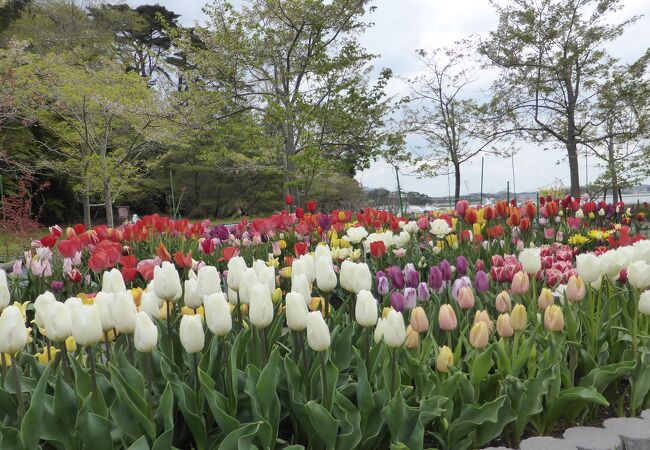 宮城県の公園 植物園 クチコミ人気ランキングtop40 2ページ フォートラベル