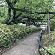 テニスで有名な公園