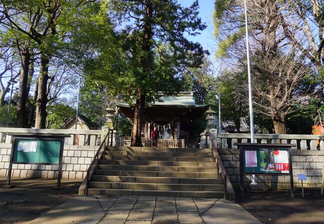 碑文谷八幡宮 クチコミ アクセス 営業時間 学芸大学 都立大学 フォートラベル