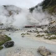 火山活動と大地のパワーを感じる散策路