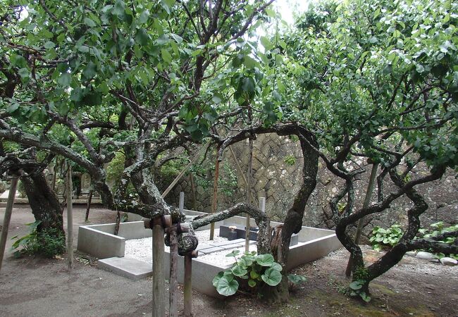 地福寺 島崎藤村の墓