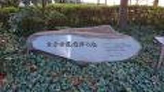 聖路加看護大学敷地内にあります