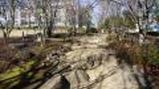 施設が中心ではあるのですが