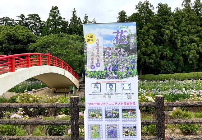 賀茂しょうぶ園 クチコミ アクセス 営業時間 豊橋 フォートラベル 賀茂しょうぶ園 クチコミ アクセス 営業時間 豊橋 フォートラベル