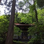 森の中に忽然と現れる神社
