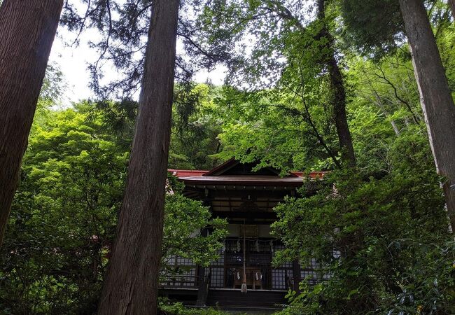 森の中に忽然と現れる神社