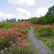 室根山つつじまつり