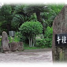 千種公園東入口