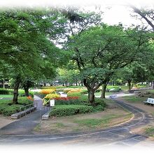 この時期緑豊かな公園内に一際色鮮やかなユリ園は存在感がある