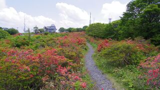 室根山つつじまつり