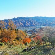 宝登山で気軽にハイキング