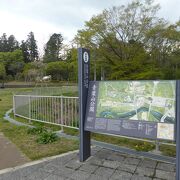 緑豊かな公園