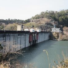 水位は低そうに見えますが、植栽から想像するに常用最高位と推察