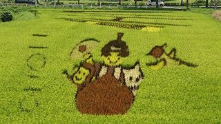 道の駅で田んぼアート