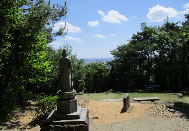 新緑をとるか、見晴らしをとるか