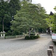 樹木に囲まれた佐々木さんが集う神社である。