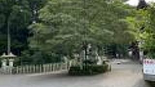 樹木に囲まれた佐々木さんが集う神社である。