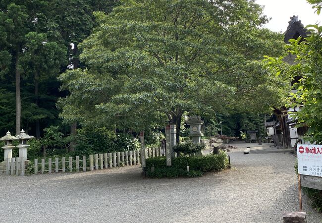 樹木に囲まれた佐々木さんが集う神社である。