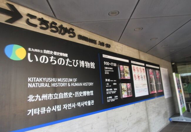 北九州市立自然史 歴史博物館 いのちのたび博物館 クチコミ アクセス 営業時間 戸畑 八幡 黒崎 フォートラベル 北九州市立自然史 歴史博物館 いのちのたび博物館 クチコミ アクセス 営業時間 戸畑 八幡 黒崎 フォートラベル
