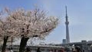 桜が満開の季節がお勧め