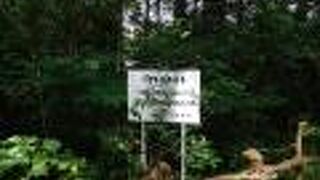 つるま自然の森