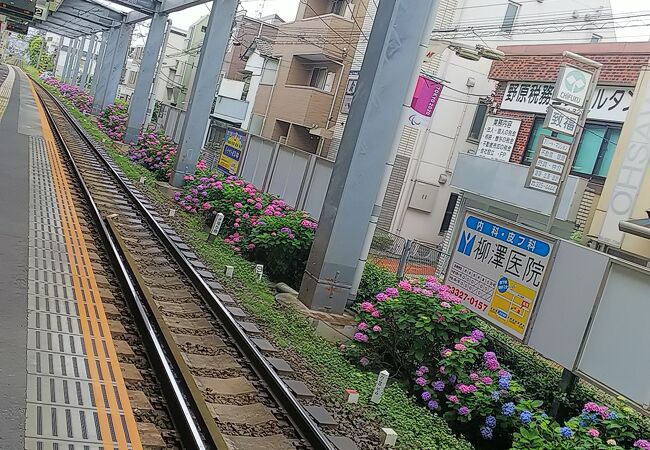 西永福駅