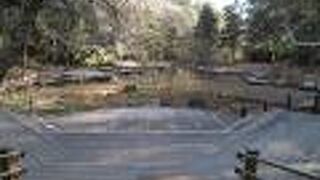 清らかで美しい水が湧いています