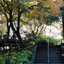 紫陽花の時期や、紅葉の時期でないと、寂しいですね