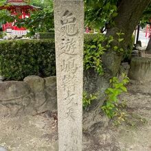 中には池があります