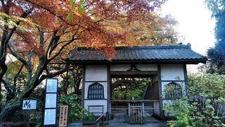 数千本の紫陽花が見事ですが･･･