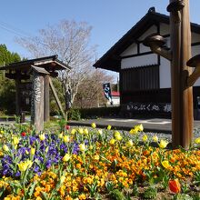 入口はきれいに整備されていました