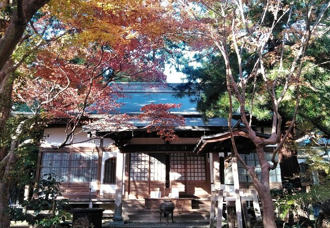 鎌倉の紅葉 クチコミ人気ランキング フォートラベル 神奈川県 鎌倉の紅葉 クチコミ人気ランキング フォートラベル 神奈川県