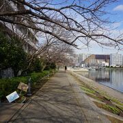 運河を臨んでもともと潤いのある景色