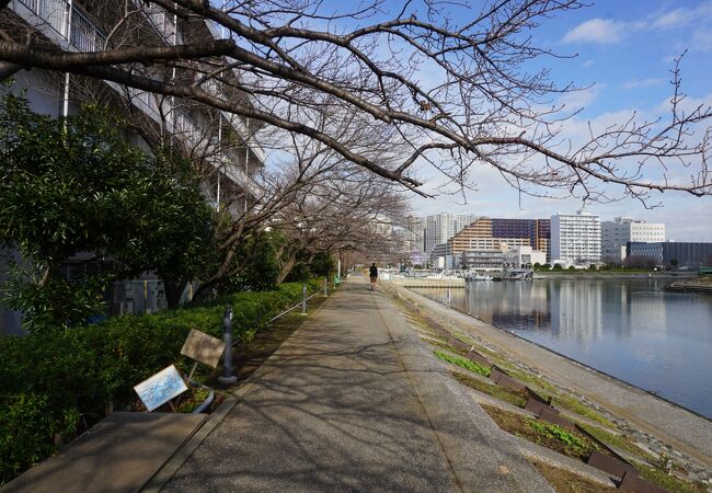 しながわ花海道 クチコミ アクセス 営業時間 大森 大井町 フォートラベル しながわ花海道 クチコミ アクセス 営業時間 大森 大井町 フォートラベル
